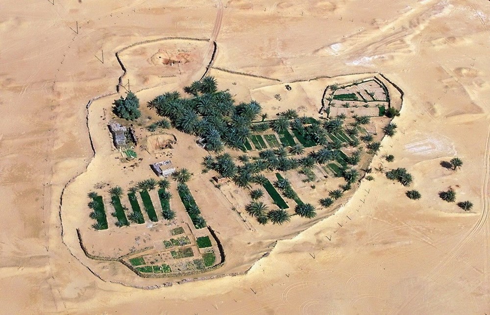Một ốc đảo nhỏ tại sa mạc Libya nằm giữa Sabah và Wawel Kebir. (Nguồn: AFP)