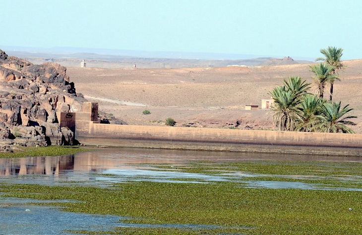 Ốc đảo Finte tại khu vực Ouarzazate của Maroc, một trong những khung cảnh đẹp nhất của miền Nam Maroc, nhưng đang bị đe dọa bởi việc khai thác nguồn nước. (Nguồn: AFP)