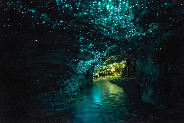 Hang động đom đóm Waitomo, New Zealand khiến du khách ngỡ như lạc vào xứ thần tiên với thứ ánh sáng xanh kỳ ảo phát ra từ hàng nghìn con đom đóm bên trong động.