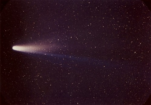 Sao chổi Halley từng được dự đoán sẽ hủy diệt sự sống của loài người.