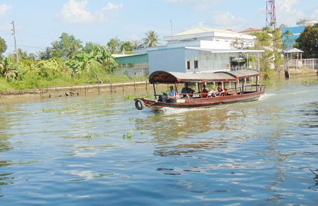 Du lịch ĐBSCL phát triển thương hiệu gắn với du lịch sinh thái sông nước. Trong ảnh: Du khách tham quan cù lao An Bình (Long Hồ) bằng tàu