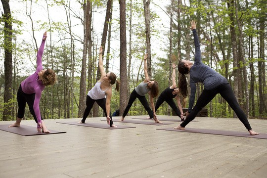 Một lớp tập yoga giữa rừng. Ảnh: Heather Anne Thomas