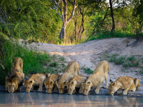 Nam Phi là điểm đến được nhiều du khách lựa chọn để khám phá cảnh quan thiên nhiên hoang dã.
