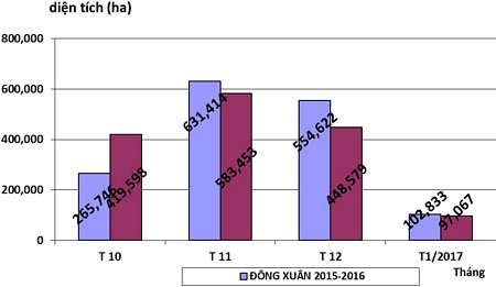 Biểu đồ xuống giống lúa theo các tháng vụ Đông Xuân 2015- 2016 và Đông Xuân 2016- 2017