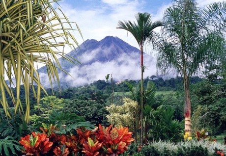 Theo chuyên gia Adventure Life, “Costa Rica là nơi khởi nguồn du lịch sinh thái của châu Mỹ Latin” nhờ số lượng lớn các loài động thực vật hoang dã. Du khách sẽ có những trải nghiệm đặc biệt như bơi lội cùng rùa biển, tìm hiểu về cà phê, cacao hay nền nông nghiệp xuất khẩu chuối.