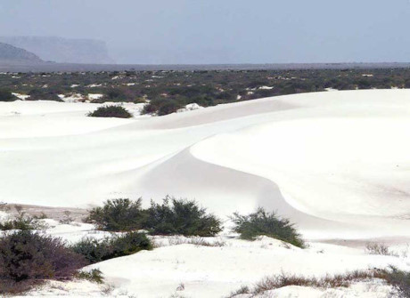 Những bãi cát trắng tinh trải dài vô tận.