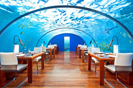 Nhà hàng dưới nước - Ithaa ở Maldives nằm sâu 3m dưới mặt nước biển Ấn Độ Dương. 