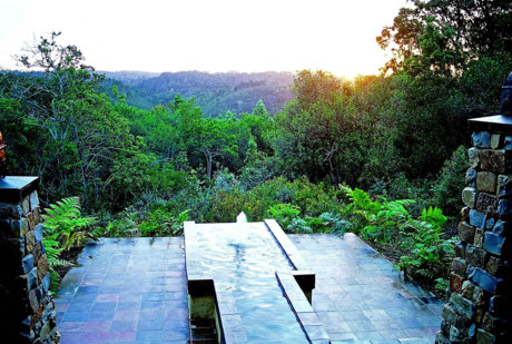 Góc nhìn từ căn nhà Treetop Lodge tại Nam Phi ra khu rừng sinh thái.