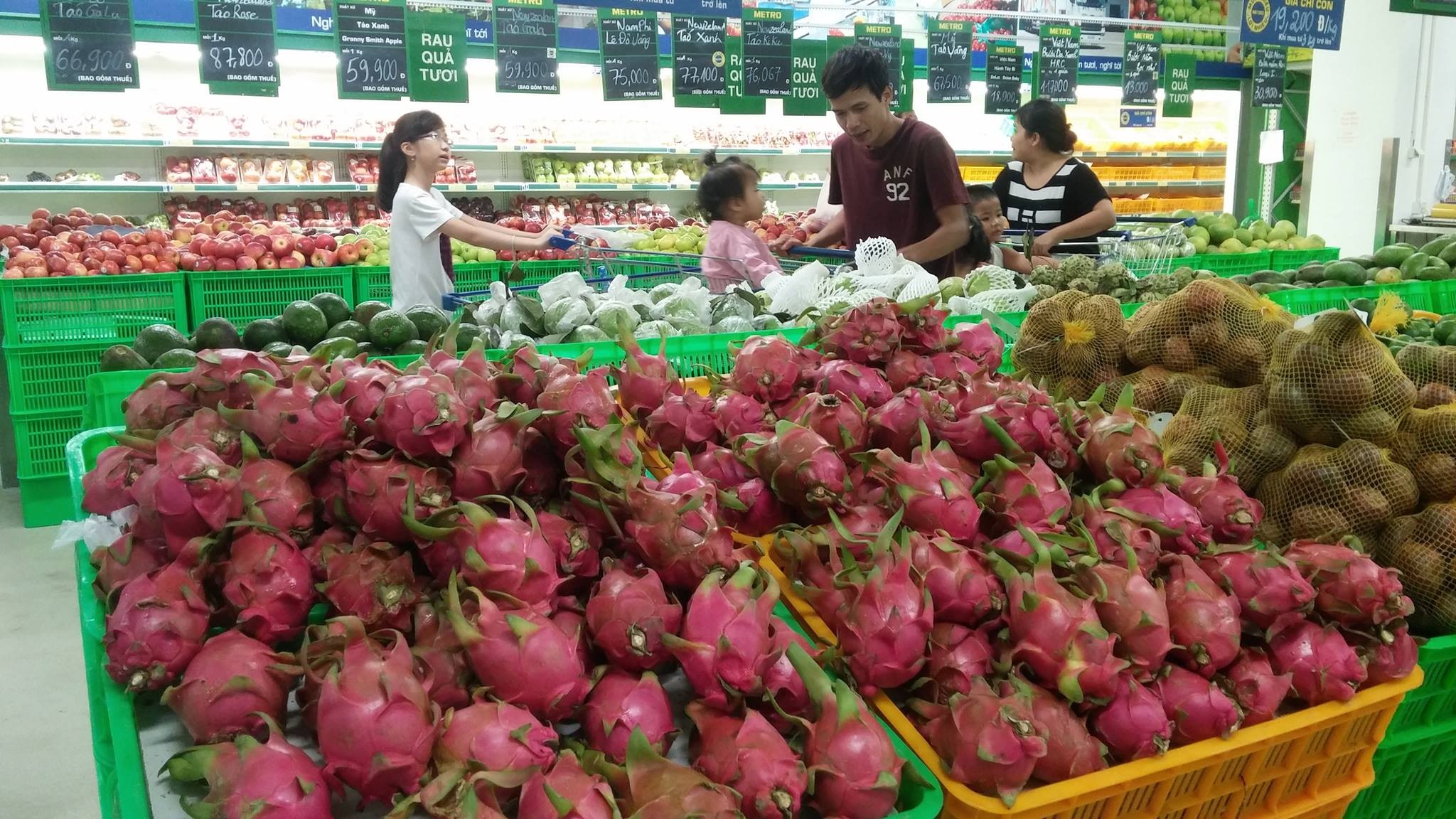 Nhiều loại trái cây của Việt Nam được các thị trường nước ngoài ưa chuộng. Ảnh: VGP/Đỗ Hương