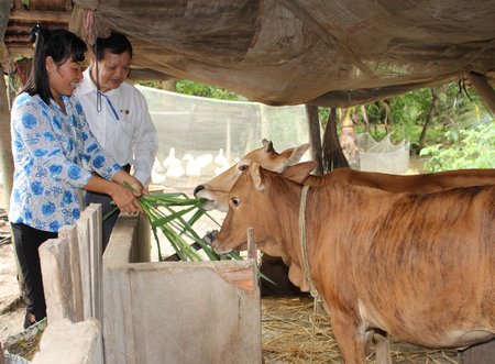 Chị Trần Thị Thật vui vẻ bên con bò nái giống và bò con từ chương trình “Ngân hàng bò” do Hội CTĐ hỗ trợ.