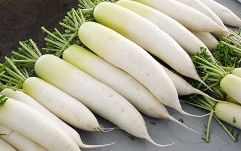 Củ cải trắng món ăn bổ dưỡng mùa đông.