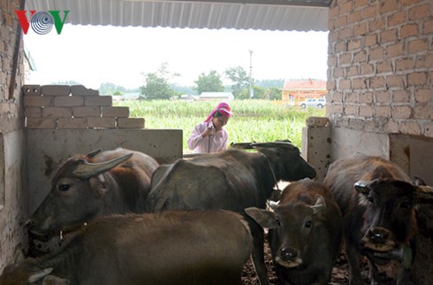 Bắc Sơn giờ đây kinh tế đổi thay, nhiều mô hình trồng trọt chăn nuôi mới giúp bà con thoát nghèo.