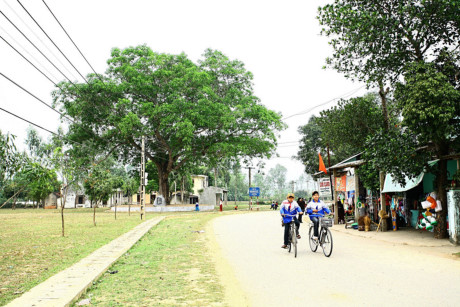 Con đường Làng Sen bây giờ. Bên trái là cây đa và sân vận động, nơi Bác Hồ đã gặp gỡ và trò chuyện với dân làng trong những lần về thăm quê, năm 1957 và 1961.