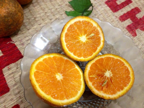 Cam Văn Chấn: Những quả cam với vị ngọt, mát, múi mọng nước là món quà mà bất cứ vị khách nào cũng nên thử một lần khi có dịp ghé thăm mảnh đất Yên Bái.