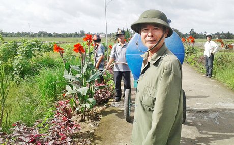 Hội CCB xã Thuận An thường xuyên ra quân chăm sóc hoa để giữ cho tuyến đường luôn đẹp.