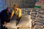 Xuất khẩu gạo đang đối mặt với áp lực cạnh tranh về giá