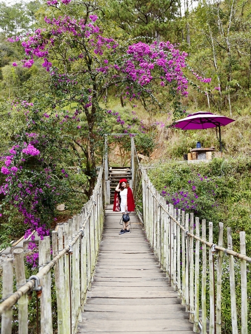  Ma Rừng Lữ Quán, nổi tiếng với khung cảnh lung linh như trong những câu chuyện kể về khu vườn cổ tích.
