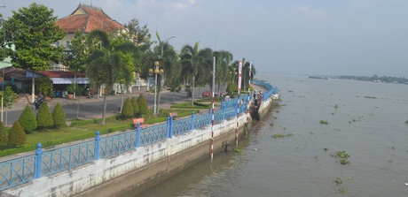 TP Vĩnh Long đang tạo điểm nhấn với du khách gần xa với hệ thống kè dọc sông Cổ Chiên.