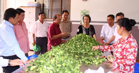  Đoàn khảo sát tại Công ty TNHH SX TM Nông lương Việt Nam