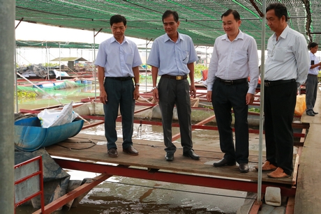 Đoàn đến thăm lồng bè nuôi cá tại HTX Thủy sản Huỳnh Tuấn.