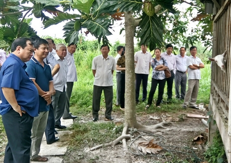 Phó Bí thư Tỉnh ủy, Chủ tịch UBND tỉnh- Nguyễn Văn Quang (bìa trái) tham quan mô hình nuôi dê lấy sữa của anh Nguyễn Quốc Huy.