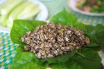 Săn trứng kiến làm món ăn đặc sản ở ngoại thành Hà Nội