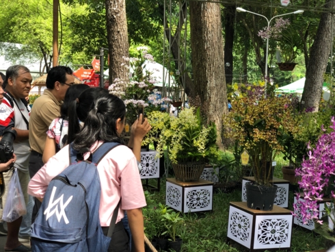 Quy tỵ đông đảo nghệ nhân, nhà vườn trồng lan tại TPHCM và 18 tỉnh, thành khu vực phía Nam, lễ hội mang đến cho người xem những tiểu cảnh, chậu lan độc đáo với nhiều giống quý.