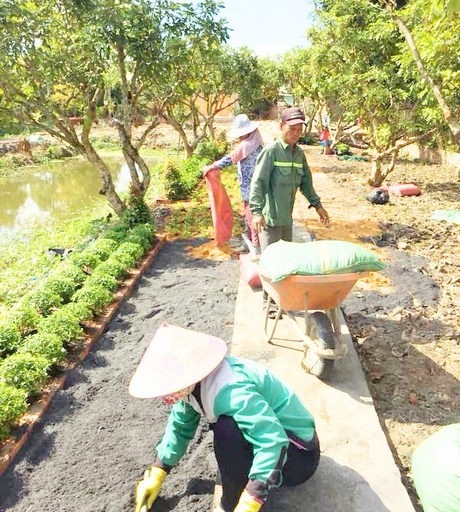 Công nhân công ty đang thi công một công trình trồng cây xanh cảnh quan.