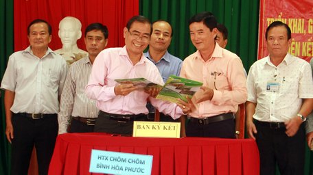 Vina T&T Group ký kết biên bản ghi nhớ liên kết tiêu thụ chôm chôm và nhãn tại 4 xã cù lao huyện Long Hồ.