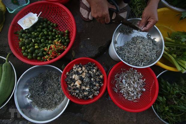  Khu chợ nông thôn ở thành phố Vị Thanh, tỉnh Hậu Giang với những sản vật mùa lũ. (Ảnh: Duy Khương/TTXVN)