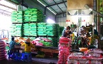 Doanh nghiệp xuất khẩu gạo tìm thị trường mới