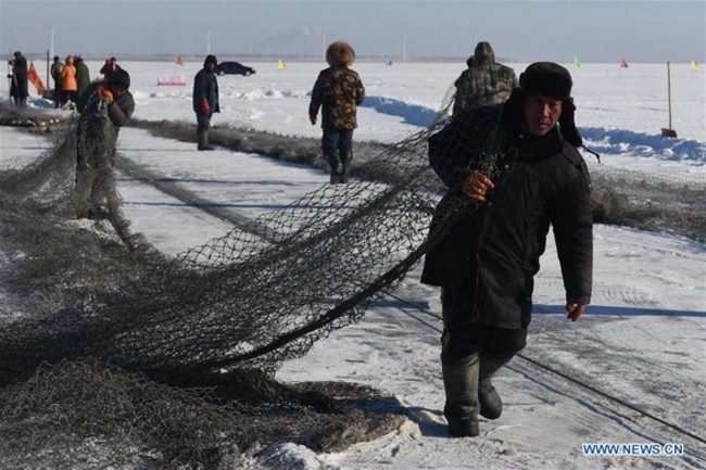Những người đàn ông tham gia kéo lưới và gỡ cá. Cá nhỏ sẽ được thả lại để duy trì cho mùa sau