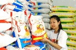 Phước Thành IV cung ứng 8.000 tấn gạo cho thị trường tết