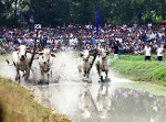 Độc đáo những lễ hội truyền thống ở miền Tây Nam Bộ