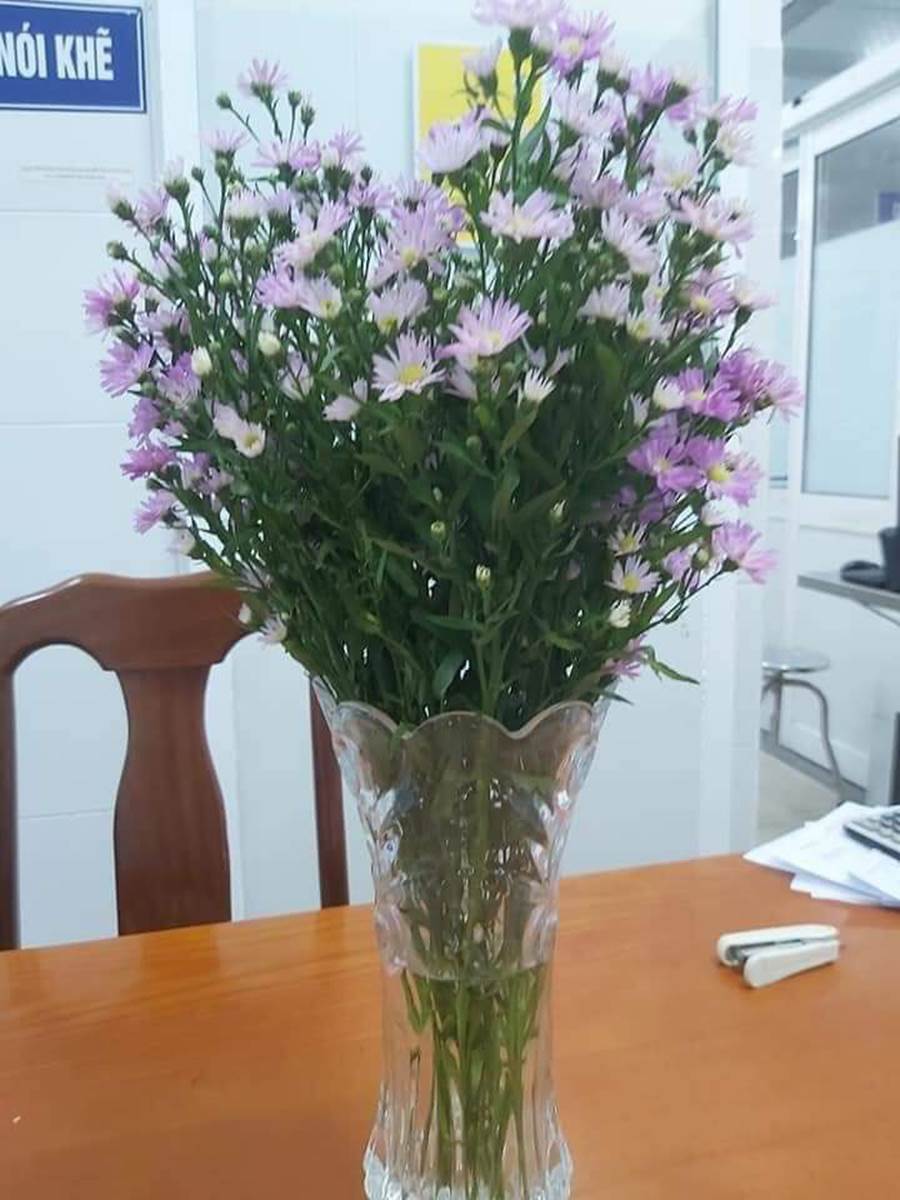 Bác sĩ Bệnh viện Đà Nẵng cắm những bó hoa tươi được gửi tặng như tiếp thêm sức mạnh giữa trận chiến đầy mùi thuốc sát khuẩn