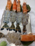Thưởng thức sashimi