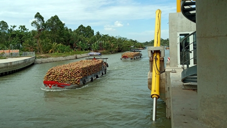 Thời gian qua, 2 tỉnh Vĩnh Long và Trà Vinh đã có sự phối hợp vận hành cống Vũng Liêm, đảm bảo ngăn mặn, trữ ngọt và lưu thông thủy.