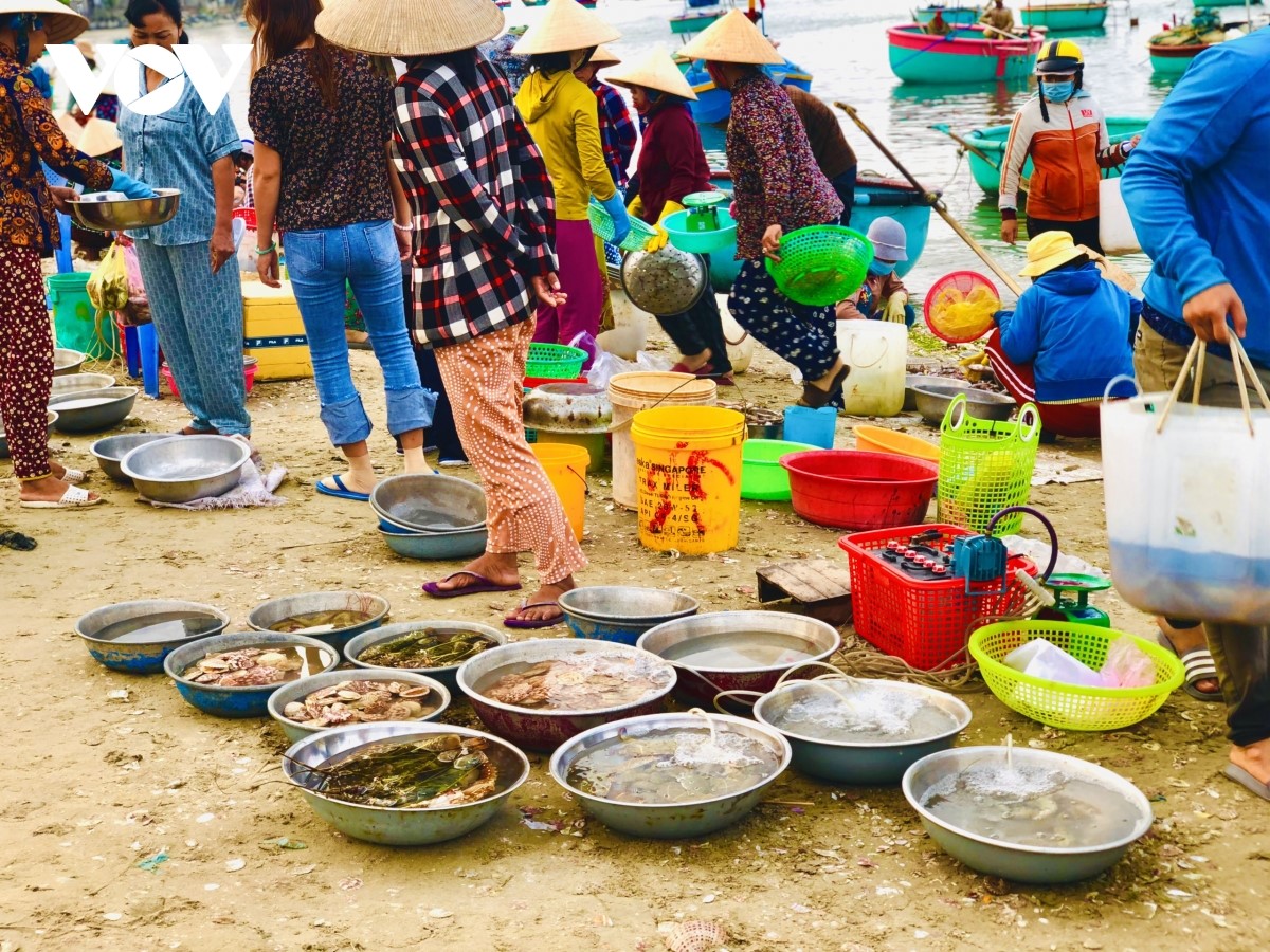 Các loại hải sản tươi sống được bày bán tại chợ cá. Nguồn: Nguyễn Hương