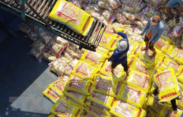 Vận chuyển gạo xuất khẩu tại nhà máy chế biến Tân Thạnh (thuộc Vinafood2). (Ảnh: Vũ Sinh/TTXVN)