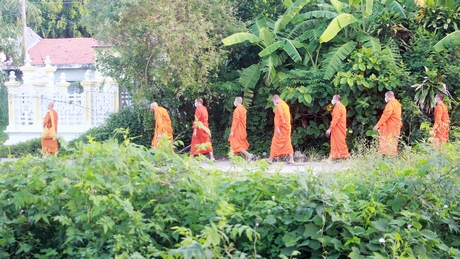 Cử tri là chức sắc Phật giáo Nam tông Khmer đeo khẩu trang đến điểm bầu cử.Ảnh: NHÓM PHÓNG VIÊN