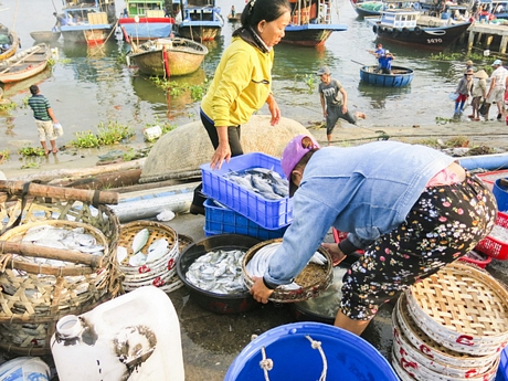Khung cảnh chợ cá nhộn nhịp buổi sáng ở Hội An - Ảnh: TANNER SAUNDERS