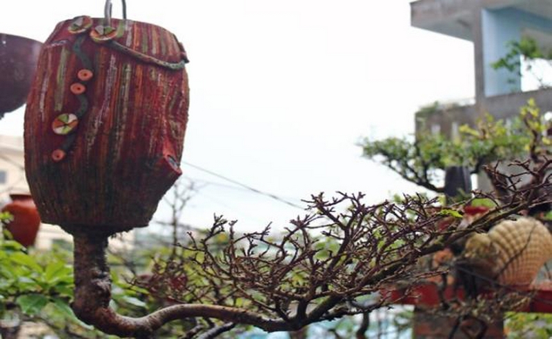 Khác với những chậu bonsai thông thường, bộ sưu tập bonsai 