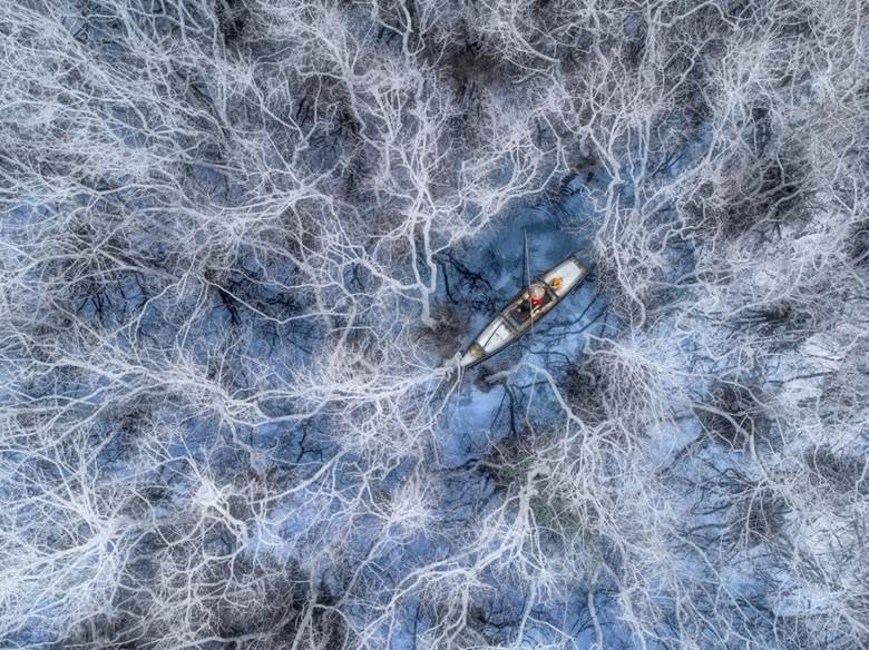 Bức ảnh “Đánh cá ở rừng ngập mặn” của nhiếp ảnh gia Phạm Huy Trung đã đoạt giải cao nhất chủ đề 