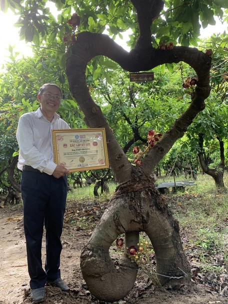 Với vườn vô ưu tạo dáng độc đáo, ông Đúng đoạt được kỷ lục Guinness Việt Nam.