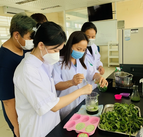Cô Hương cùng các sinh viên nghiên cứu xà phòng thiên nhiên từ dưỡng chất của rau bồ ngót sau giờ học.