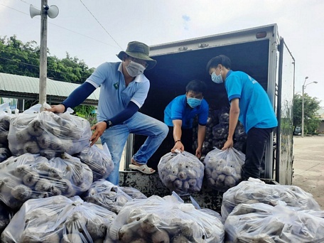 Cùng đoàn viên thanh niên góp tay “giải cứu” nông sản cho người dân.
