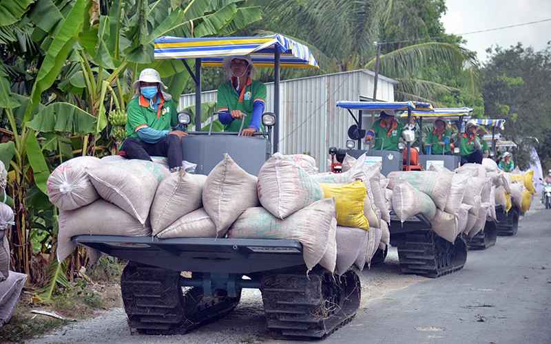 Công nhân Tập đoàn Lộc Trời vận chuyển lúa về nhà máy chế biến. (Ảnh MINH HÀ) 