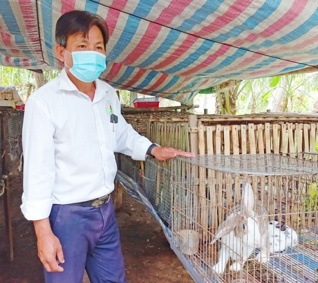 Nhờ nuôi thỏ, đời sống kinh tế của anh Phước và các hộ chăn nuôi được cải thiện đáng kể.