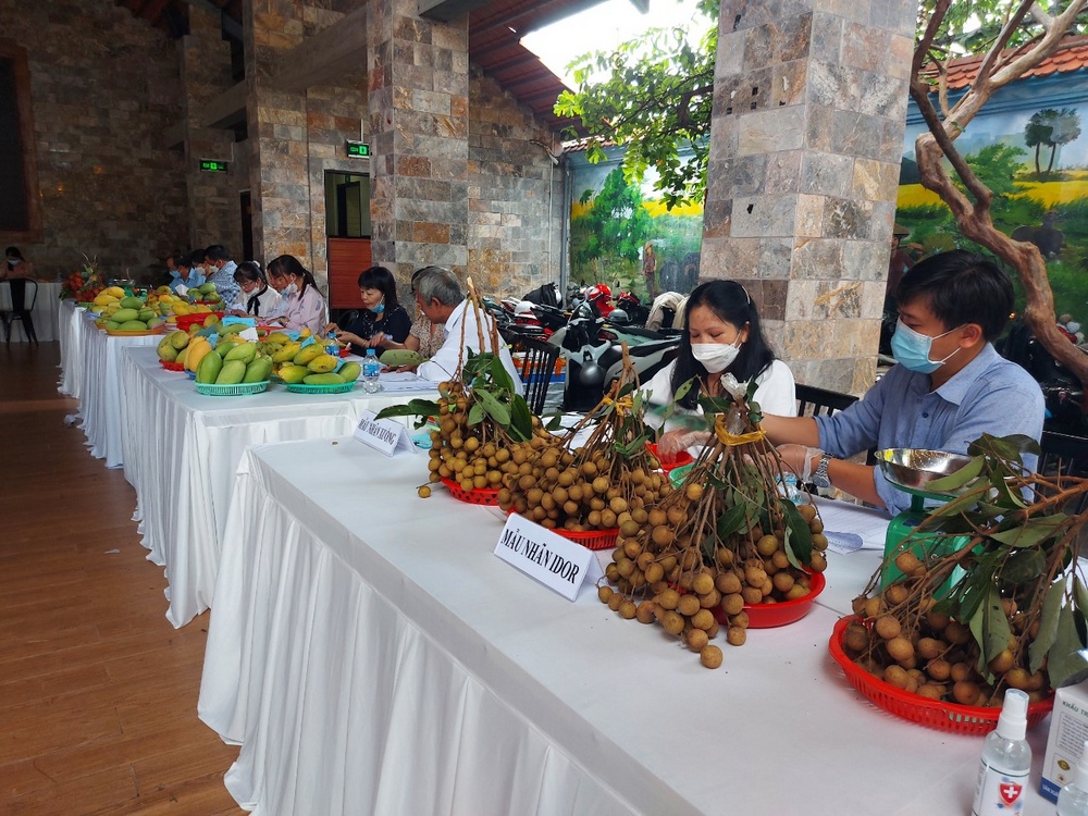 “Hội thi trái ngon an toàn” đã thu hút sự tham gia của nhà vườn ở 8 huyện- thị- thành trong tỉnh Vĩnh Long, với 94 mẫu trái cây, diễn ra sáng 22/4.
