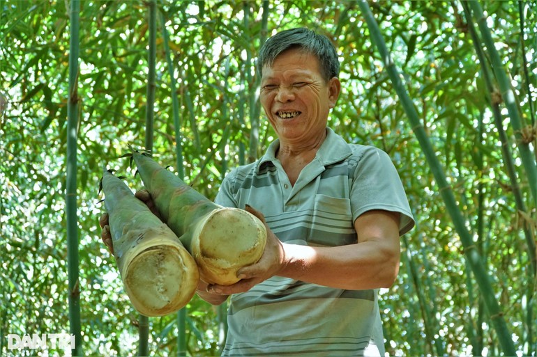 Lão nông Nguyễn Văn Cua sống khỏe nhờ trồng tre tứ quý (Ảnh: Bảo Kỳ).